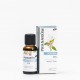 Pranarom Zen Difusão Cedro Laranja