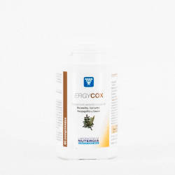 Ergycox, 90 comprimidos