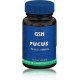 GSN Fucus, 50 comprimidos