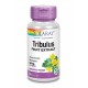 Solaray Tribulus, 60 cápsulas veganas