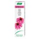 A. Vogel Dentaforce Echinacea, 35gr.