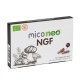 Neovital Health mico neo NGF, 60 cápsulas.