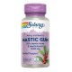 Solaray Mastic Goma 1000 mg - 45 vegcaps