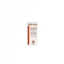 Xheken Collagen+Aloe Vera Solução, 100ml
