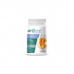 Artilane Forte em pó, 220g.