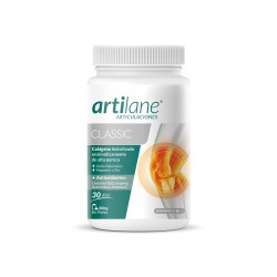 Artilane JOINTS Pó clássico, 300g