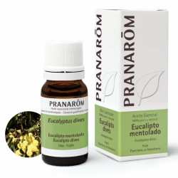 Pranarom Eucalyptus Menthol Óleo Essencial, 10ml.