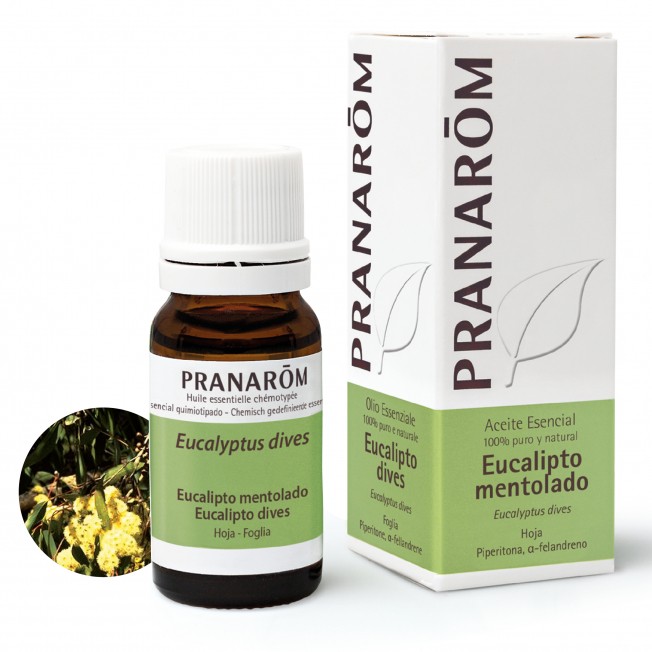 Pranarom Eucalyptus Menthol Óleo Essencial, 10ml.