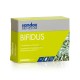 Sandoz Bienestar Bifidus, 10 sachês