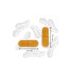 Cúrcuma tumeric Nutralie, 120 cápsulas
