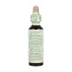 Flores de Bach Castanha Branca 20ml