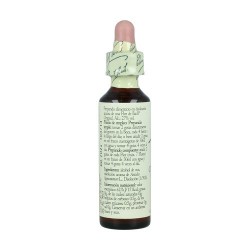 Flores de Bach Castanha Branca 20ml