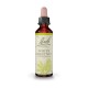 Flores de Bach Castanha Branca 20ml