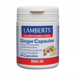 LAMBERTS Gengibre, 60 cápsulas.