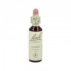 Cumlaude Lab Rectal Lipogel para las Hemorroides, 30 ml