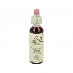 Cardo Mariano Arkopharma 300 mg, 50 cápsulas
