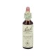 Atache pack retinol serum + wrinkle attack day