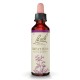 Impatiens bach flores 20 ml Impatiens bach flores 20 ml