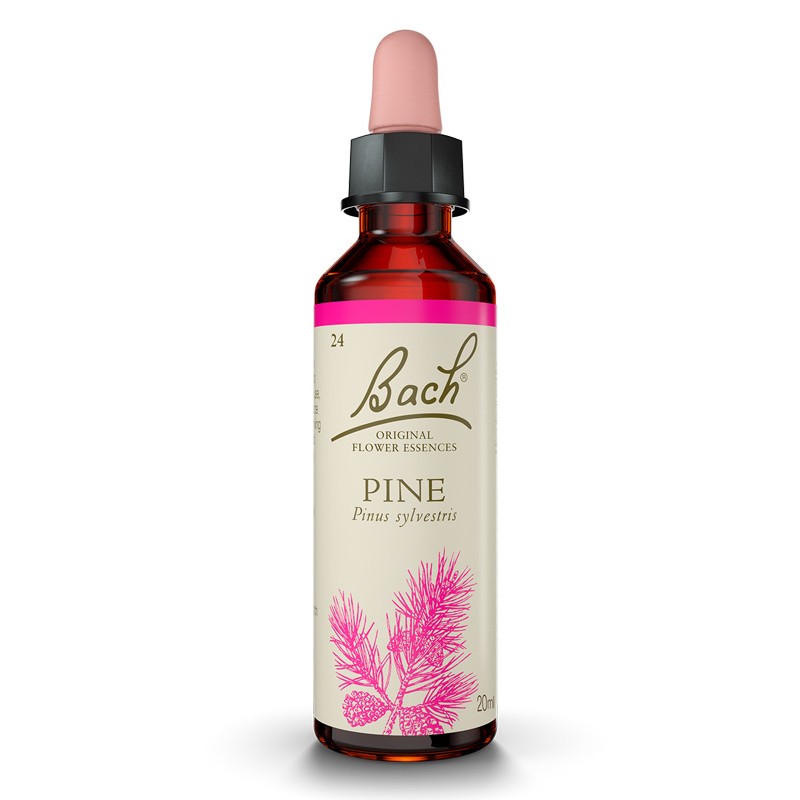 Flores de Bach Pinho 20ml Flores de Bach Pinho 20ml