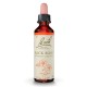 Rosa Rocha Flores de Bach 20ml Rosa Rocha Flores de Bach 20ml