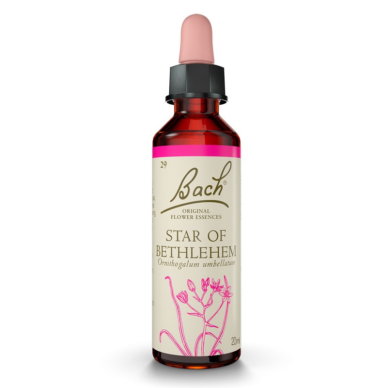Flores de bach Estrela De Belém 20 ml Flores de bach Estrela De Belém 20 ml