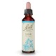 Videira Flores de Bach 20ml Videira Flores de Bach 20ml