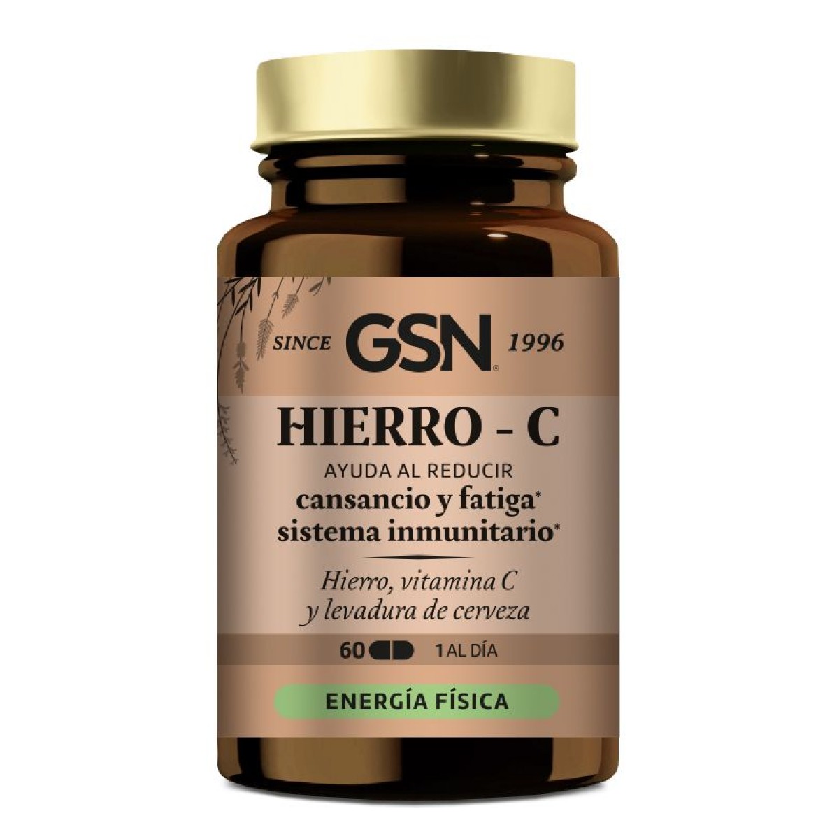 GSN Ferro com Vitamina C, 60 Comprimidos