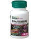 Nature's plus sauzgatillo (Chasteberry) 150 mg 60 cápsulas