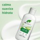 Dr Condicionador Aloe Vera Orgânico, 265ml
