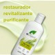 Dr Gel de banho orgânico Tea Tree, 250ml.