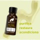Dr Tea Tree Orgânico Nail Solution, 10ml.