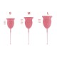 Enna ciclo copo menstrual tamanho M, 2 copos
