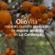 Vitae Oliovita, 150 cápsulas