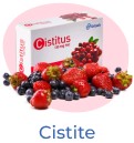 Cistite