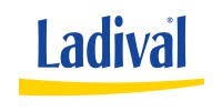 Compre Proteção solar corporal Ladival